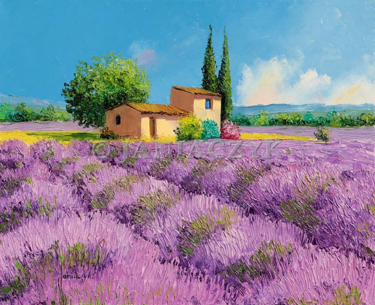 Humble lavender farm lavender field painting by Jean Marc Janiaczyk